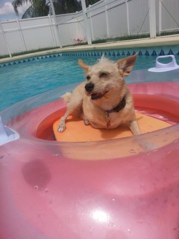 Bruce on float in the pool