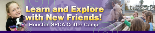 critter-camp-banner